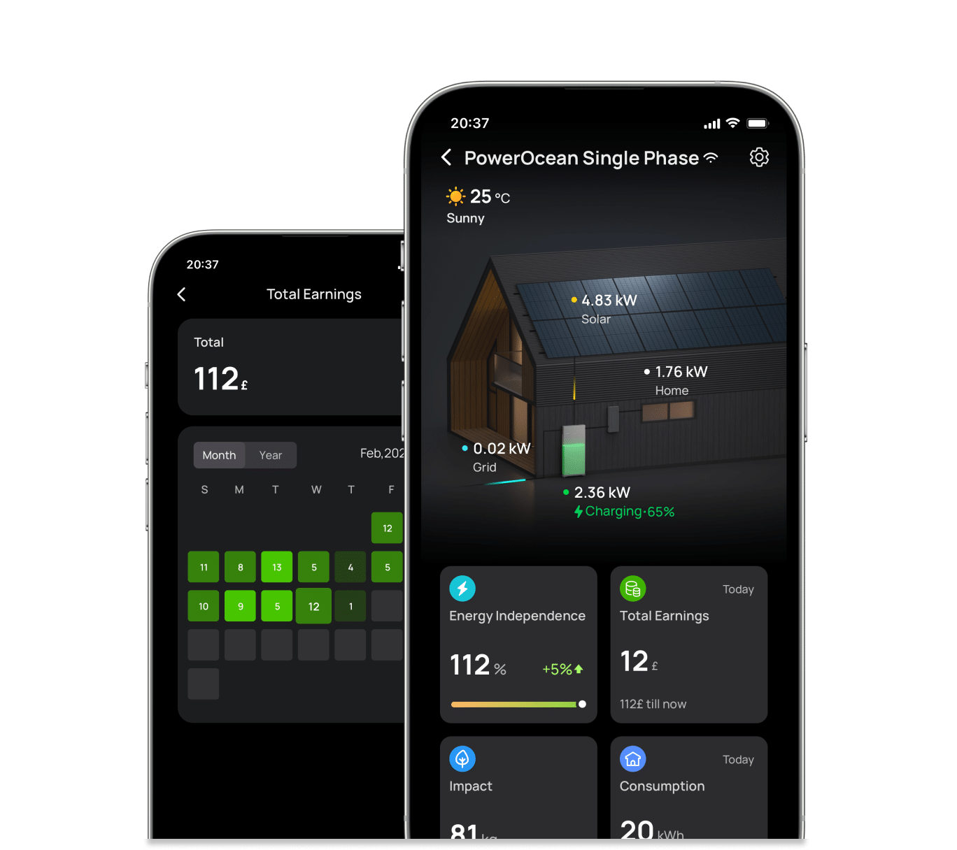 How Does EcoFlow Smart Energy Management Work?