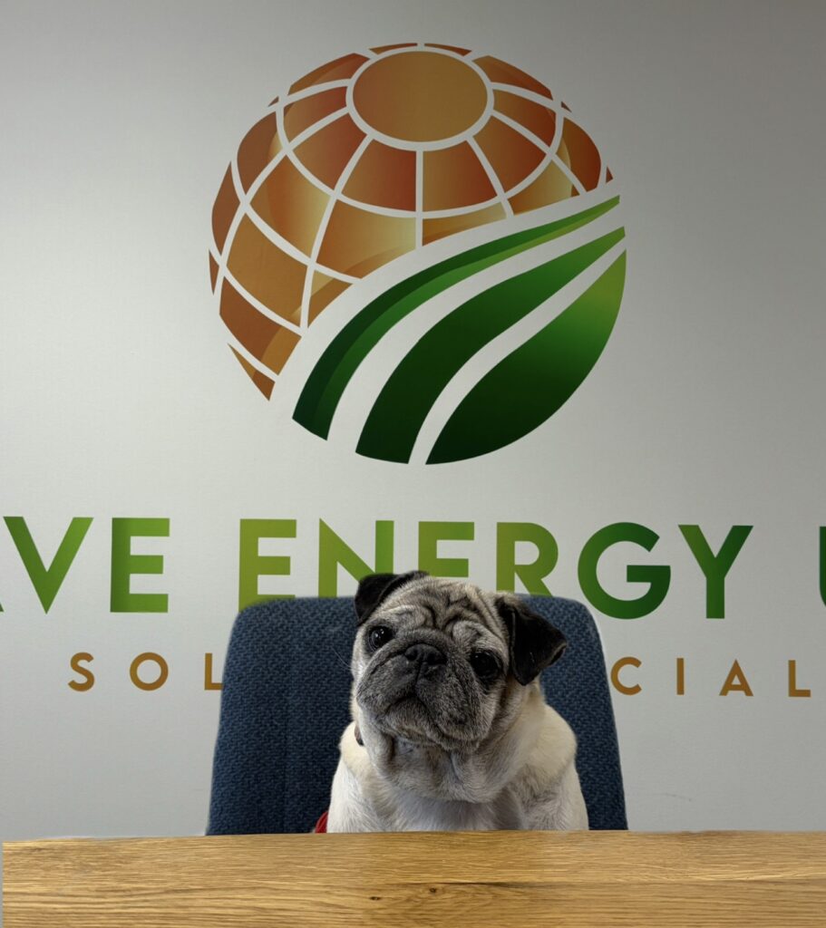 Pugsley